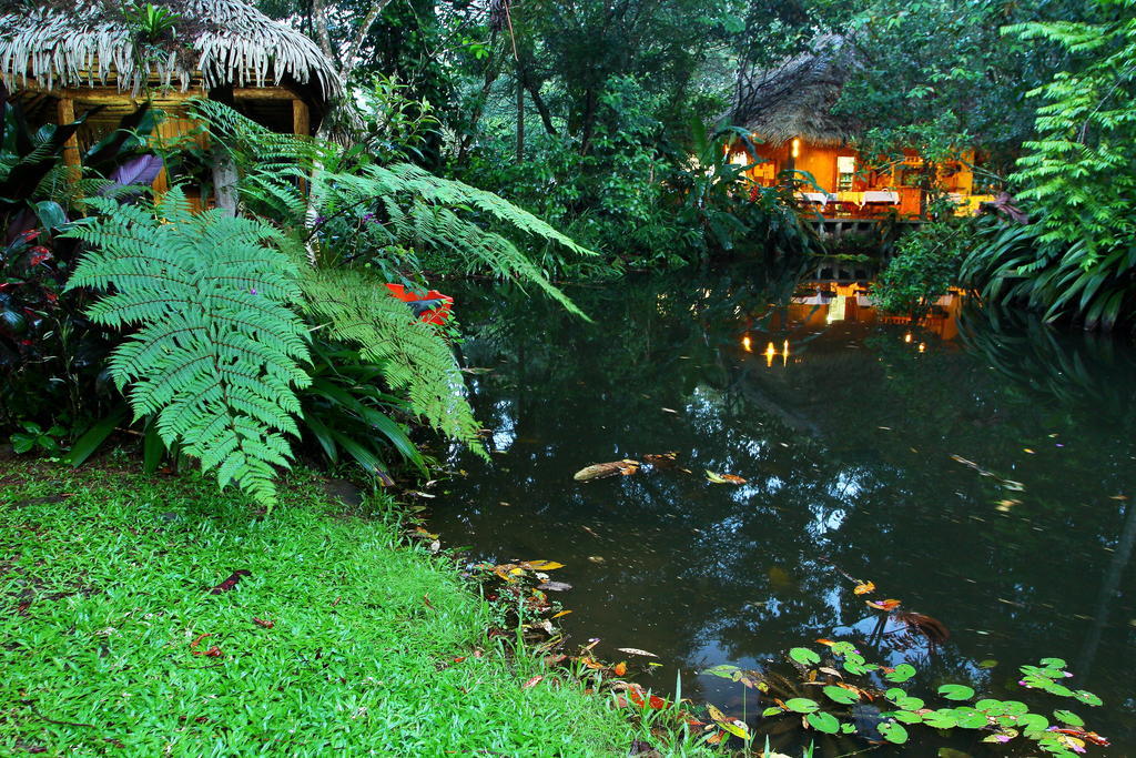 Hacienda La Isla Lodge Sarapiquí Εξωτερικό φωτογραφία
