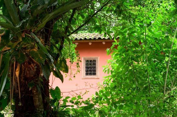 Hacienda La Isla Lodge Sarapiquí Εξωτερικό φωτογραφία