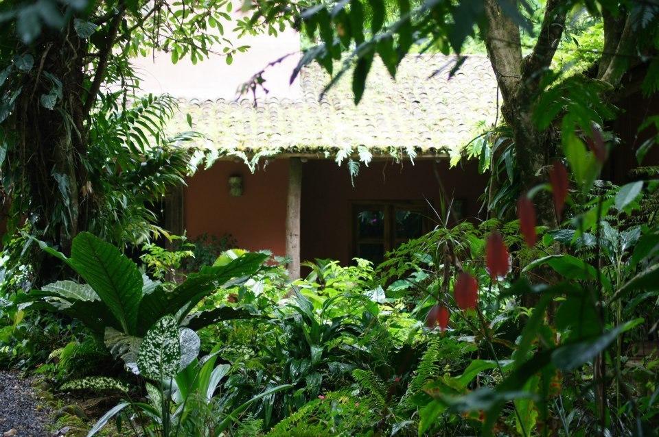Hacienda La Isla Lodge Sarapiquí Εξωτερικό φωτογραφία